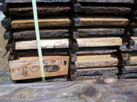 ④製材所で加工された板の保管状況をチェック