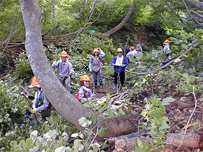 黒岩山での作業風景