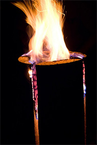 丸太ログファイヤー使用例