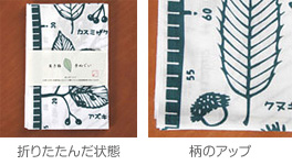 葉っぱ（緑色）